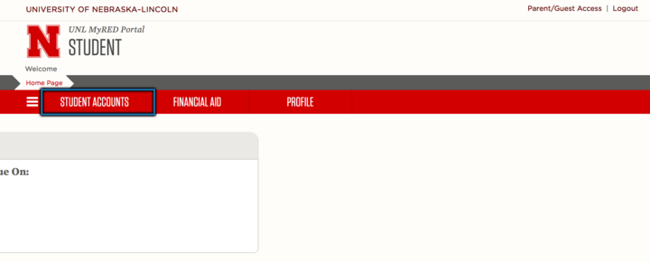 Desktop screenshot showing the location of Student Accounts tab in the navigation bar