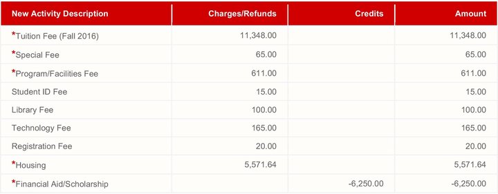 Each billing statement provides a summary of all new activity. We include all debits and credits since the last statement.