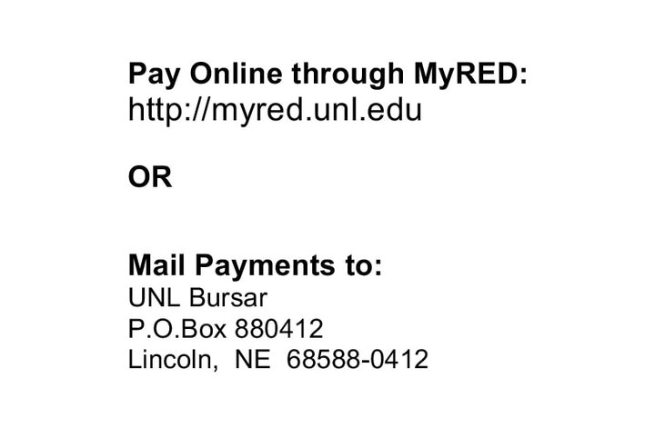 The top of your statement provides two common methods of payment. You can pay online through MyRED or send payment by mail.